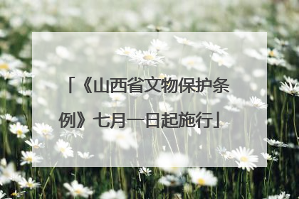 《山西省文物保护条例》七月一日起施行