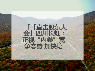 「直击股东大会」四川长虹：正视“内卷”竞争态势 加快培育发展新动能