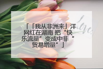 「我从非洲来」洋网红在湖南 把“快乐流量”变成中非“贸易增量”