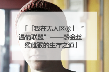 「我在无人区⑧」“温情联盟”——黔金丝猴雌猴的生存之道