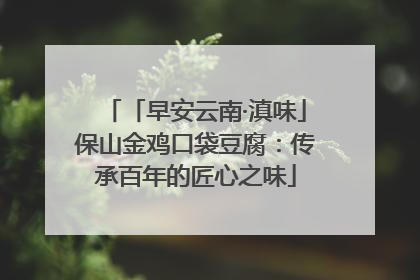 「早安云南·滇味」保山金鸡口袋豆腐：传承百年的匠心之味