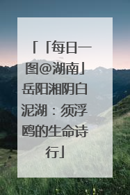 「每日一图@湖南」岳阳湘阴白泥湖：须浮鸥的生命诗行
