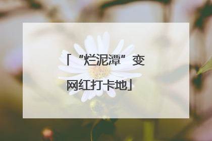 “烂泥潭”变网红打卡地