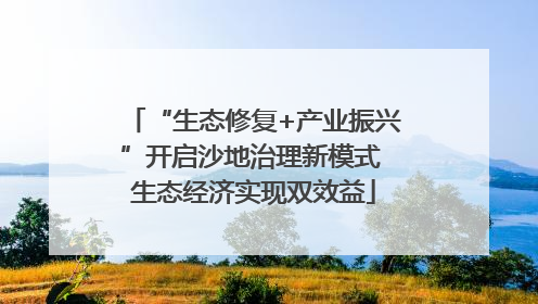“生态修复+产业振兴”开启沙地治理新模式 生态经济实现双效益