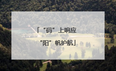 “码”上响应 “阳”帆护航