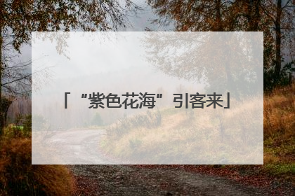 “紫色花海”引客来
