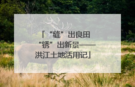 “缝”出良田 “锈”出新景——洪江土地活用记
