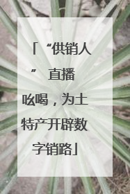 “供销人” 直播 吆喝，为土特产开辟数字销路
