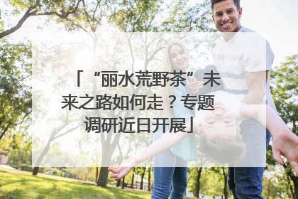 “丽水荒野茶”未来之路如何走？专题调研近日开展