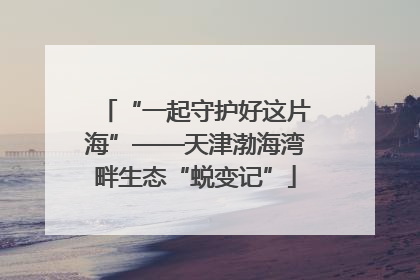 “一起守护好这片海”——天津渤海湾畔生态“蜕变记”