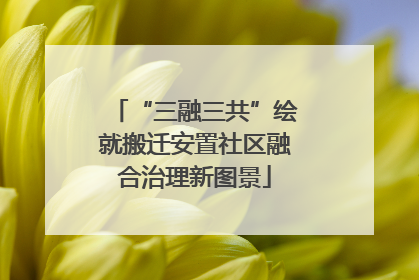 “三融三共”绘就搬迁安置社区融合治理新图景
