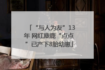 “与人为友”13年 网红麋鹿“点点”已产下8胎幼崽