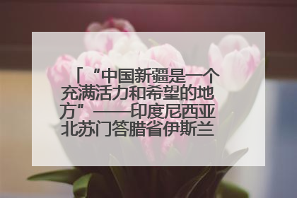 “中国新疆是一个充满活力和希望的地方”——印度尼西亚北苏门答腊省伊斯兰教代表团参访新疆