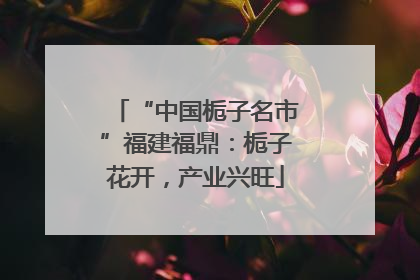 “中国栀子名市”福建福鼎：栀子花开，产业兴旺