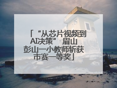 “从芯片视频到AI决策” 眉山彭山一小教师斩获市赛一等奖