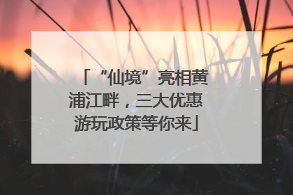 “仙境”亮相黄浦江畔，三大优惠游玩政策等你来