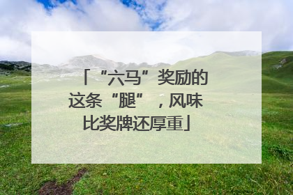 “六马”奖励的这条“腿”，风味比奖牌还厚重