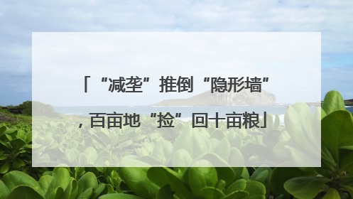 “减垄”推倒“隐形墙”，百亩地“捡”回十亩粮