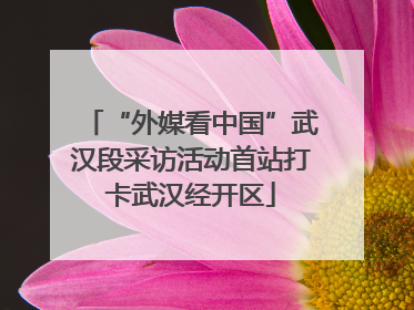 “外媒看中国”武汉段采访活动首站打卡武汉经开区