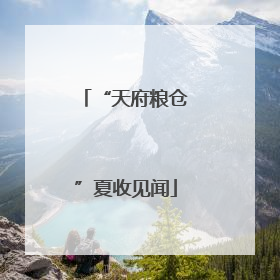 “天府粮仓”夏收见闻