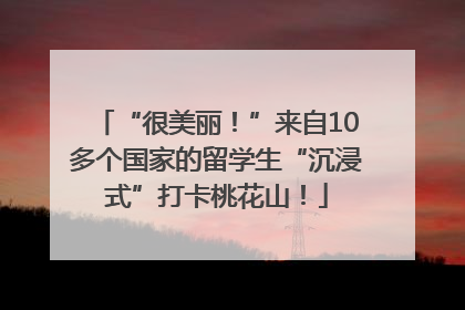 “很美丽！”来自10多个国家的留学生“沉浸式”打卡桃花山！