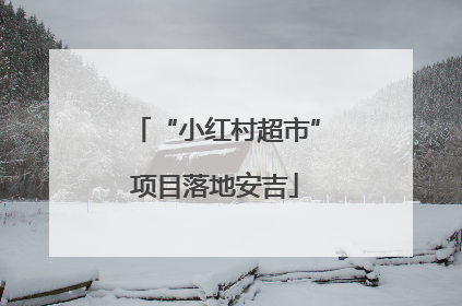 “小红村超市”项目落地安吉