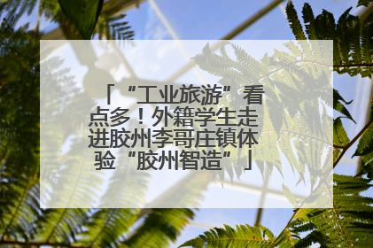 “工业旅游”看点多！外籍学生走进胶州李哥庄镇体验“胶州智造”