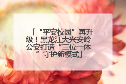 “平安校园”再升级！黑龙江大兴安岭公安打造“三位一体”守护新模式