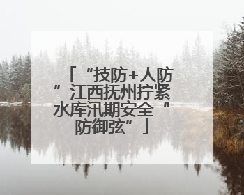 “技防+人防”江西抚州拧紧水库汛期安全“防御弦”