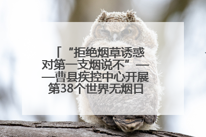 “拒绝烟草诱惑 对第一支烟说不”——曹县疾控中心开展第38个世界无烟日科普宣传活动