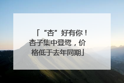 “杏”好有你！杏子集中登鹭，价格低于去年同期