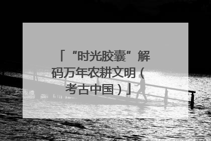 “时光胶囊”解码万年农耕文明（考古中国）