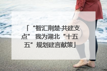 “智汇荆楚·共建支点” 我为湖北“十五五”规划建言献策