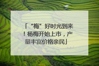 “梅”好时光到来！杨梅开始上市，产量丰富价格亲民