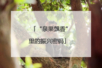 “泉果飘香”里的振兴密码