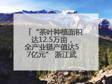“茶叶种植面积达12.5万亩，全产业链产值达57亿元” 浙江武义茶产业全链发展“加速度”