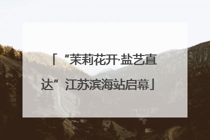 “茉莉花开·盐艺直达”江苏滨海站启幕