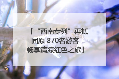 “西南专列”再抵固原 870名游客畅享清凉红色之旅