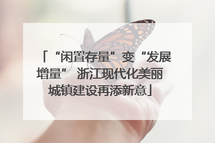 “闲置存量”变“发展增量” 浙江现代化美丽城镇建设再添新意