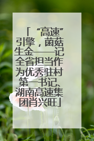 “高速”引擎，菌菇生金——记全省担当作为优秀驻村第一书记、湖南高速集团肖兴旺