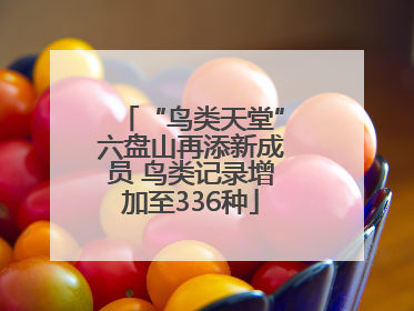 “鸟类天堂”六盘山再添新成员 鸟类记录增加至336种
