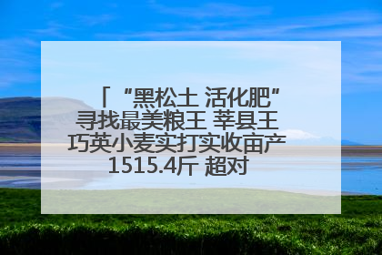 “黑松土 活化肥”寻找最美粮王 莘县王巧英小麦实打实收亩产1515.4斤 超对照田144斤！