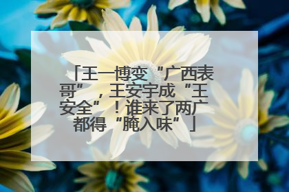 王一博变“广西表哥”，王安宇成“王安全”！谁来了两广都得“腌入味”