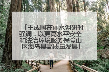 王成国在丽水调研时强调：以更高水平安全和法治环境服务保障山区海岛县高质量发展
