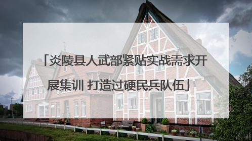 炎陵县人武部紧贴实战需求开展集训 打造过硬民兵队伍