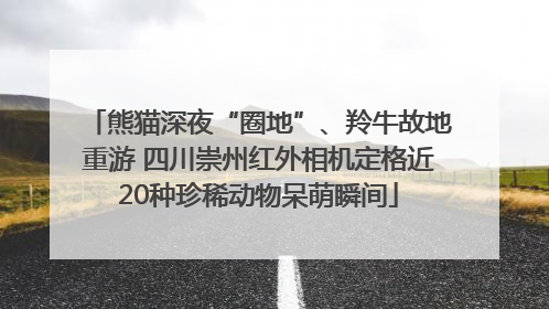 熊猫深夜“圈地”、羚牛故地重游 四川崇州红外相机定格近20种珍稀动物呆萌瞬间