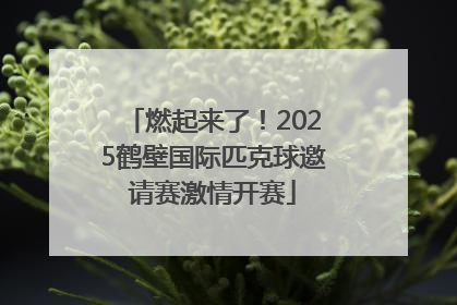 燃起来了！2025鹤壁国际匹克球邀请赛激情开赛