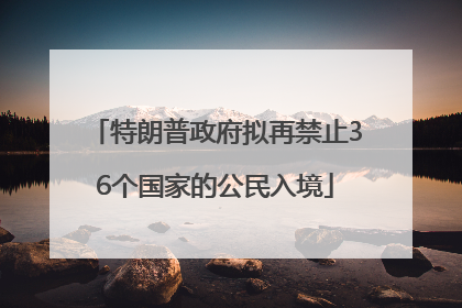 特朗普政府拟再禁止36个国家的公民入境