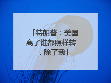 特朗普：美国离了谁都照样转，除了我