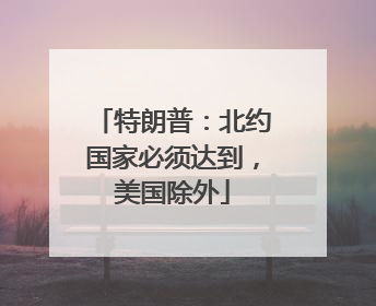 特朗普：北约国家必须达到，美国除外